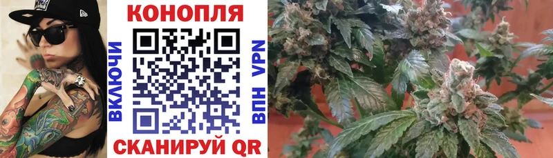 Каннабис White Widow  Курганинск 